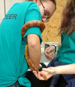 One local business brought in animals for the students to meet. This was a great idea the kids loved!